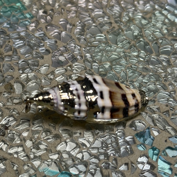 Gold small shell 1” necklace charm - Picture 5 of 5